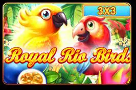 Royal Rio Birds (3x3) - WinPesa - Nigeria