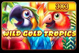 Wild Gold Tropics (3x3) - WinPesa - Nigeria