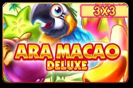 Ara Macao Deluxe (3x3) - WinPesa - Nigeria