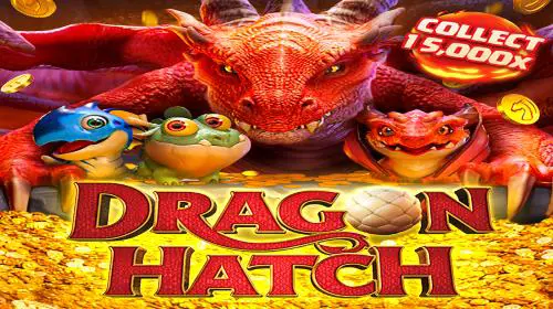 Dragon Hatch - WinPesa - Nigeria