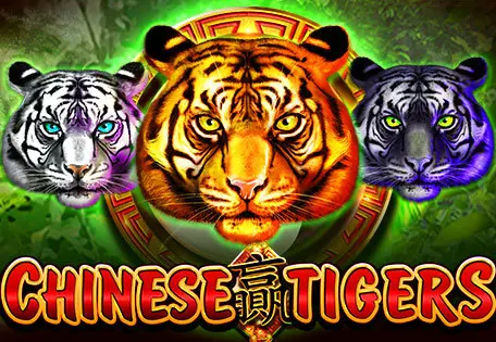 Chinese Tigers - WinPesa - Nigeria
