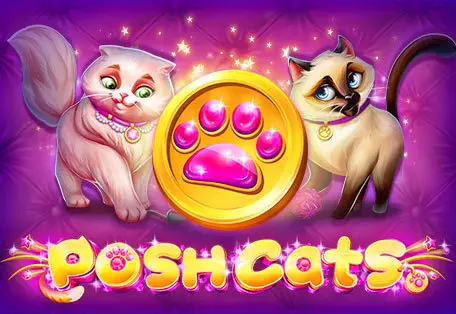 Posh Cats - WinPesa - Nigeria