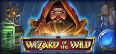 Wizard of the Wild - WinPesa - Nigeria