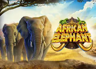 African Elephant - WinPesa - Nigeria