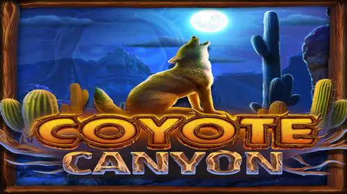 Coyote Canyon - WinPesa - Nigeria