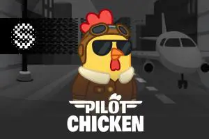 Pilot Chicken - WinPesa - Nigeria