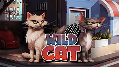 Wild Cat - WinPesa - Nigeria