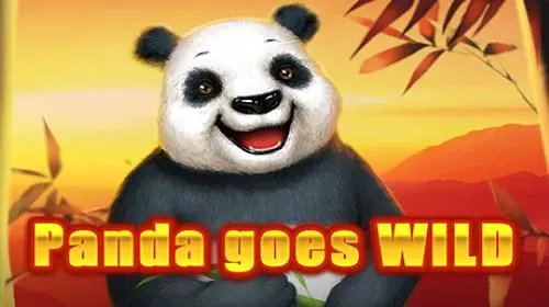 Panda Goes Wild - WinPesa - Nigeria