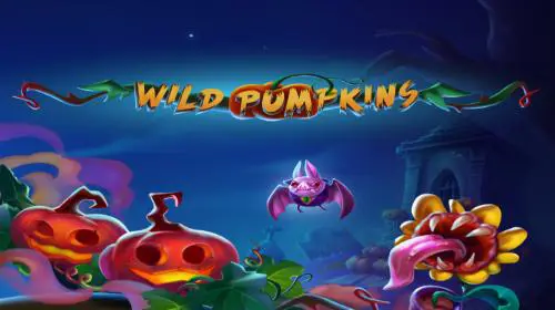 Wild Pumpkins - WinPesa - Nigeria