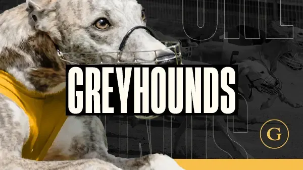 Dog Races - WinPesa - Nigeria