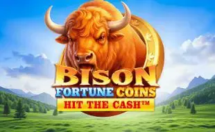 Bison Fortune Coins - WinPesa - Nigeria