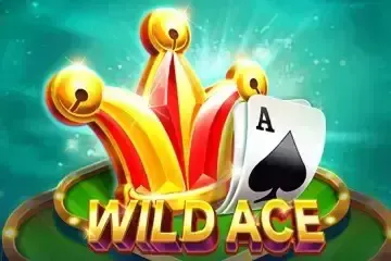 Wild Ace - WinPesa - Nigeria