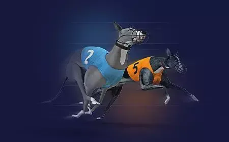 Virtual Greyhound Races - WinPesa - Nigeria