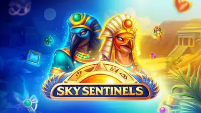 Sky Sentinels - WinPesa - Nigeria